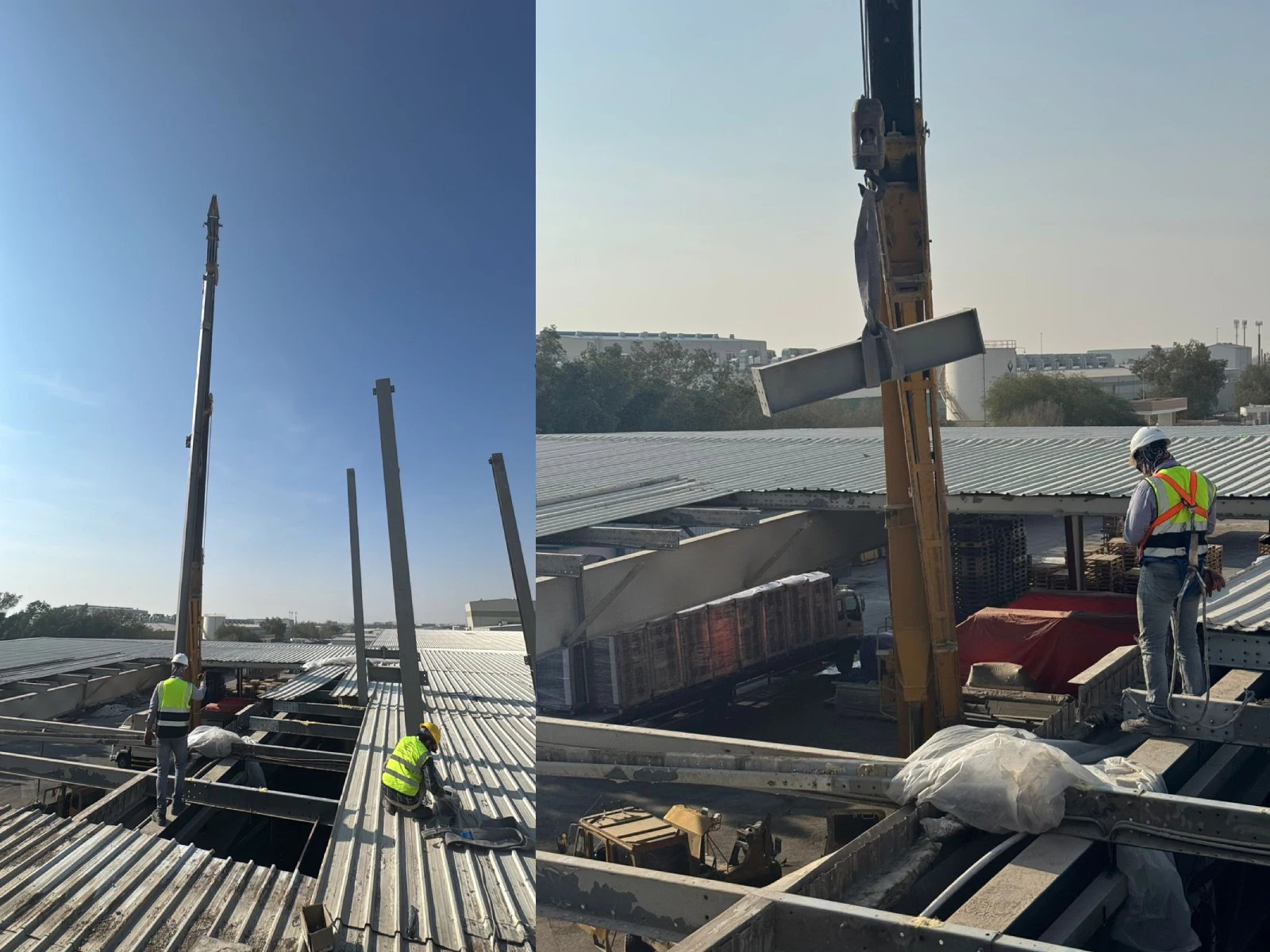 مصنع بسكويت